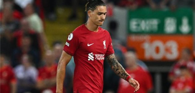 عرض مغري من الهلال لضم داروين نونيز